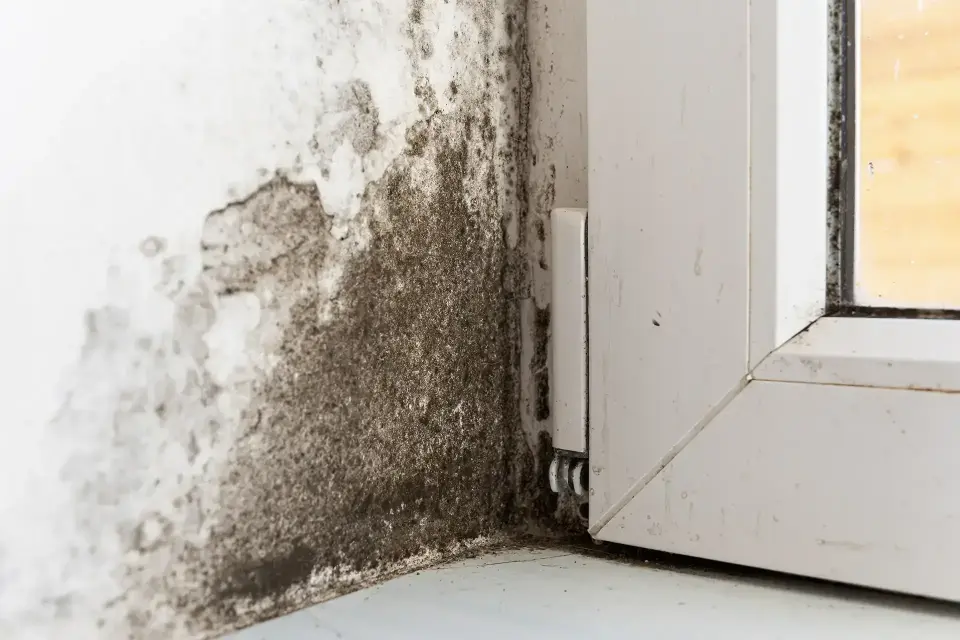 Leading Water Damage Restoration Company in Quincy — Quincy, MA
